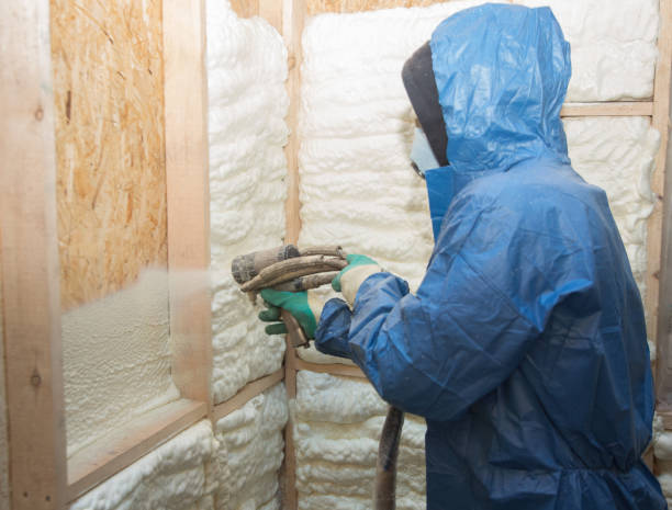 Best Spray Foam Insulation  in West Unity, OH